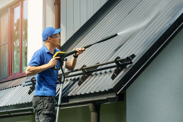 Roof Mold Cleaning