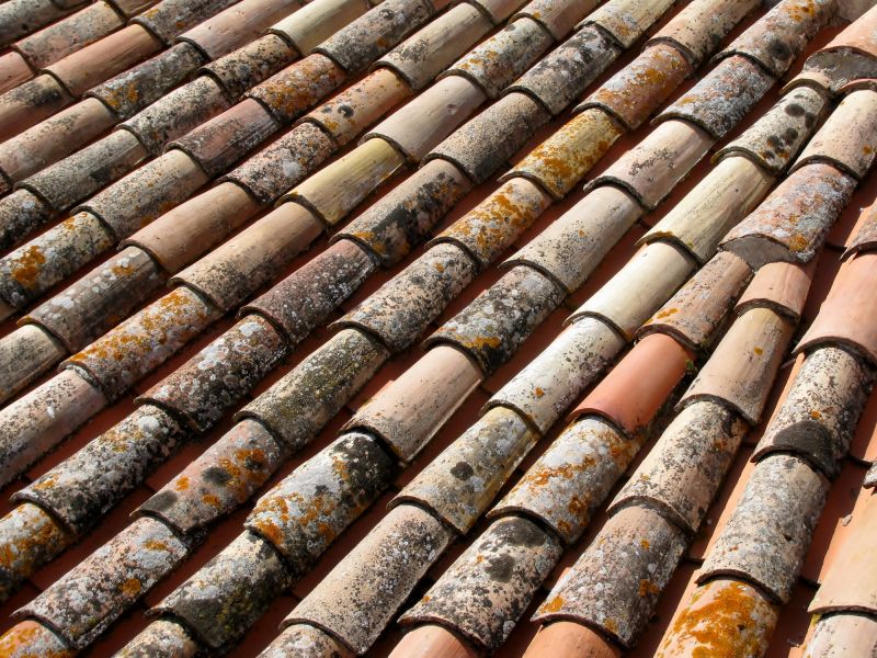 Roof Mold Treatment