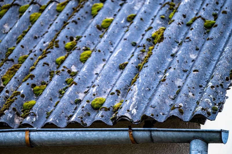 Roof Mold Treatment