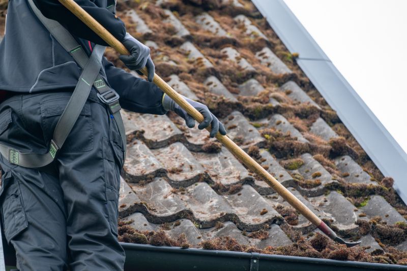 Roof Mold Treatment