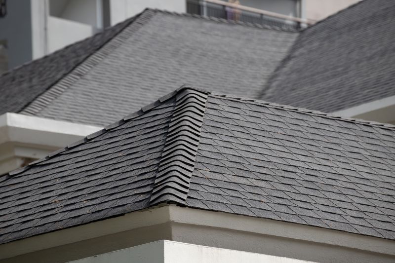 Asphalt Shingles Cleaning