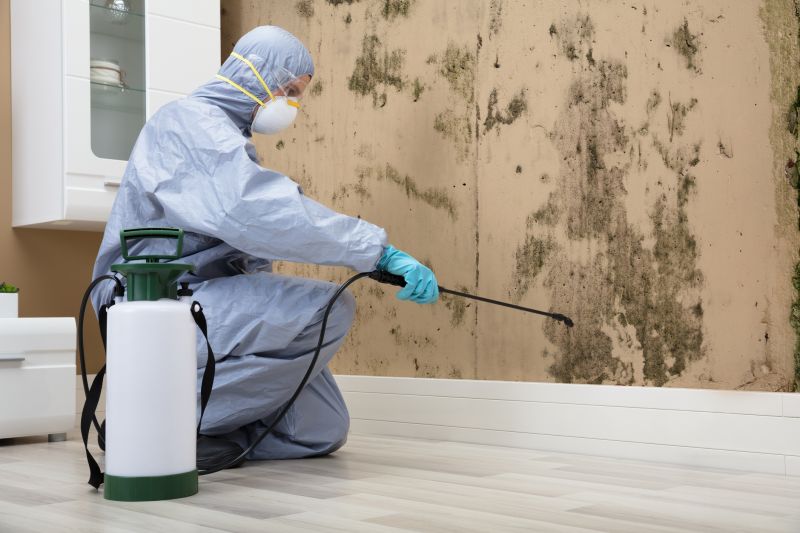 Roof Mold Treatment