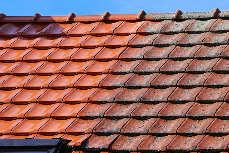 Tile Roof Cleaning