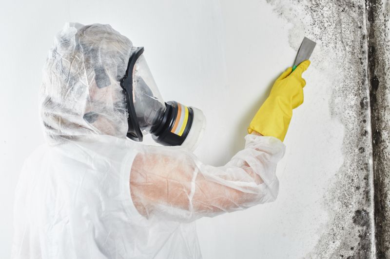 Emergency Mold Services